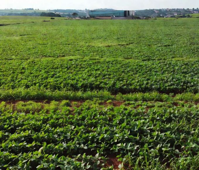 Paisagem rural no DF com vista para o Congresso Nacional