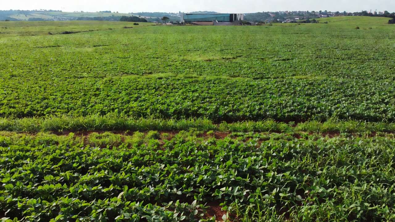 Paisagem rural no DF com vista para o Congresso Nacional