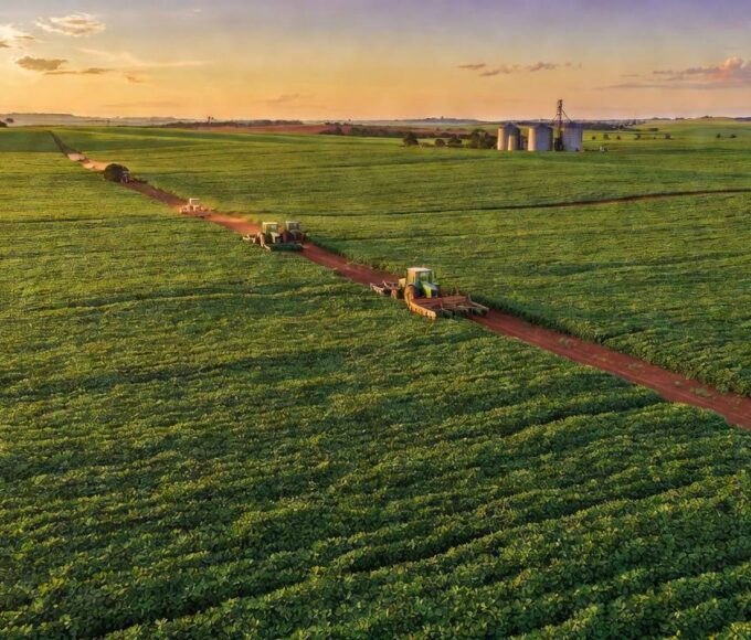 Vasta plantação de soja no cerrado representando crédito rural para grandes produtores