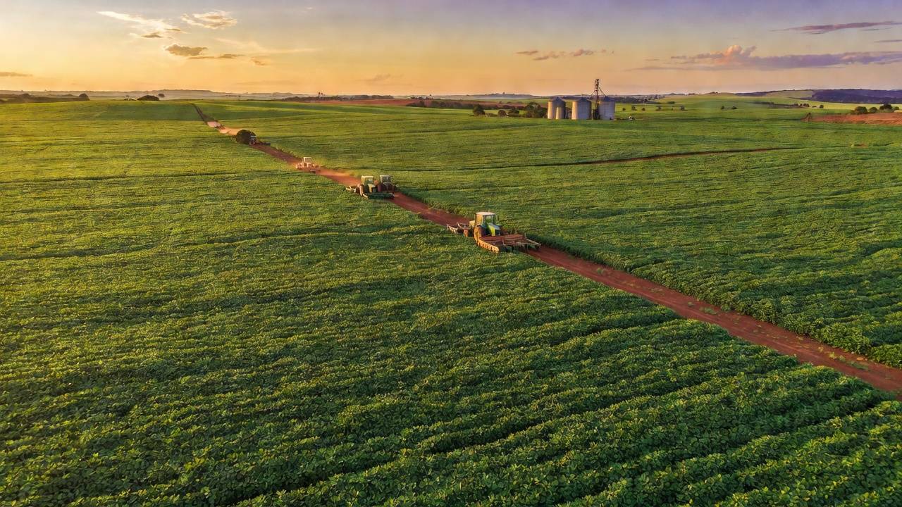 Vasta plantação de soja no cerrado representando crédito rural para grandes produtores