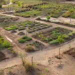 Jardim terapêutico inacabado em hospital de Brasília
