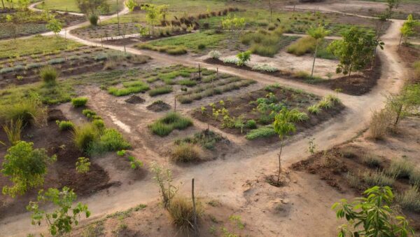 Jardim terapêutico inacabado em hospital de Brasília